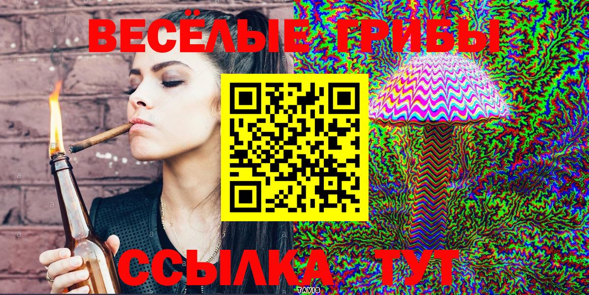 Черняховск  Галлюциногенные грибы Cubensis  Вход с VPN 